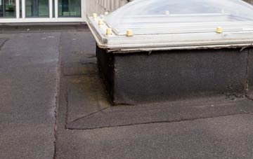 disadvantages of Brynberian flat roofs
