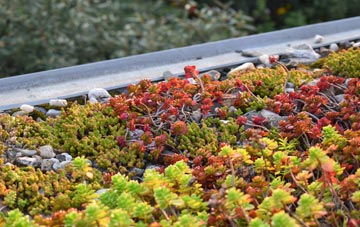 the cost of Brynberian green roof installation