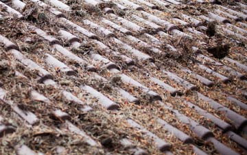 Brynberian roof cleaning companies